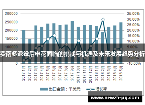 费南多退役后申花面临的挑战与机遇及未来发展趋势分析