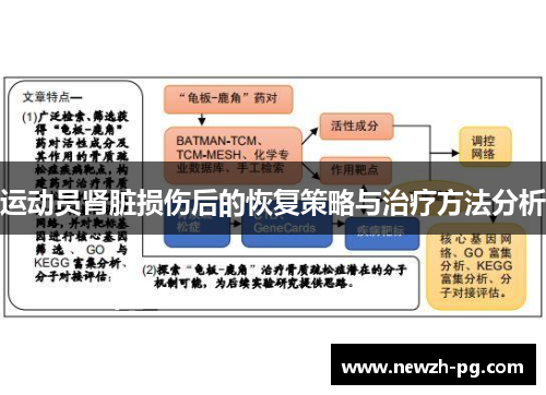 运动员肾脏损伤后的恢复策略与治疗方法分析